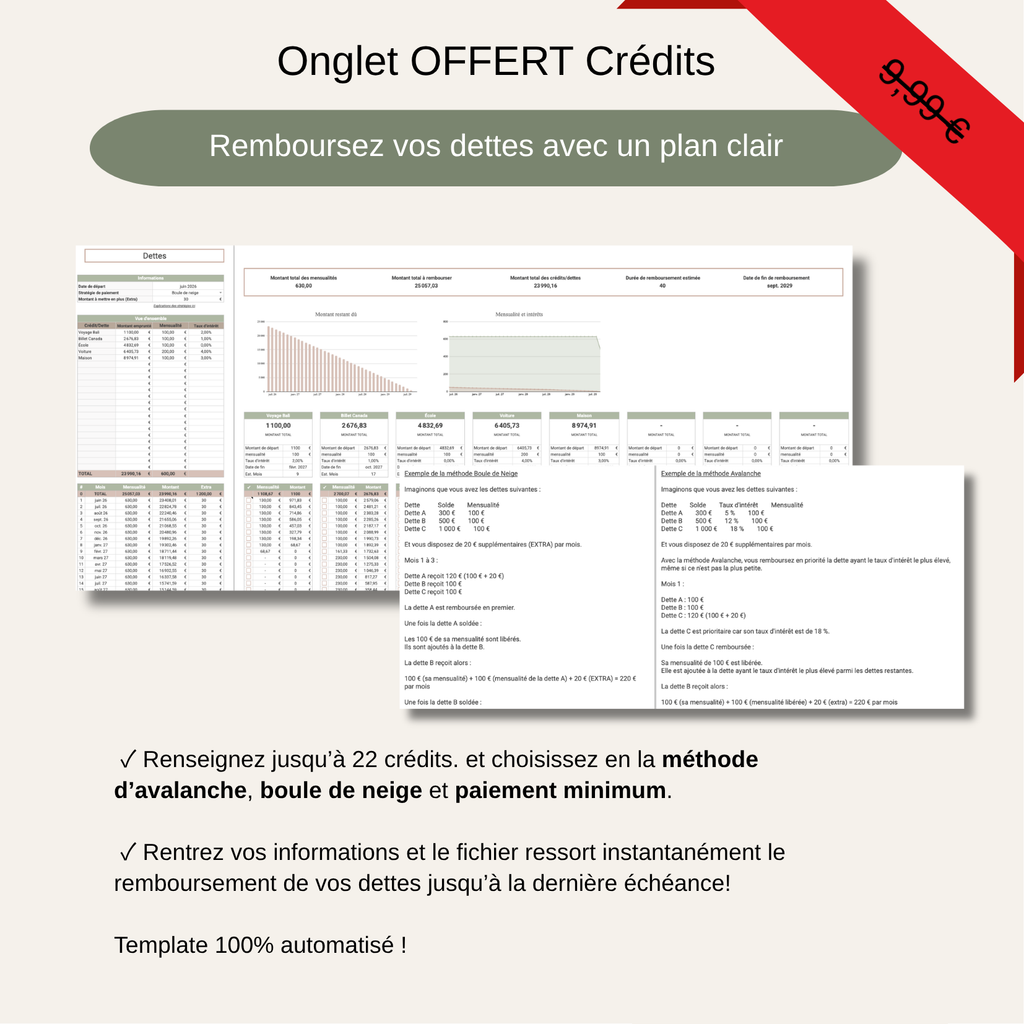 Template Budget Premium | Organisez vos finances simplement