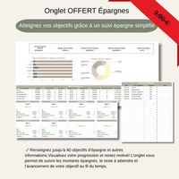 Template Budget Premium | Organisez vos finances simplement