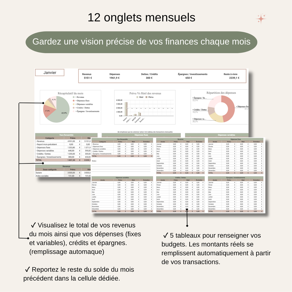 Template Budget Premium | Organisez vos finances simplement